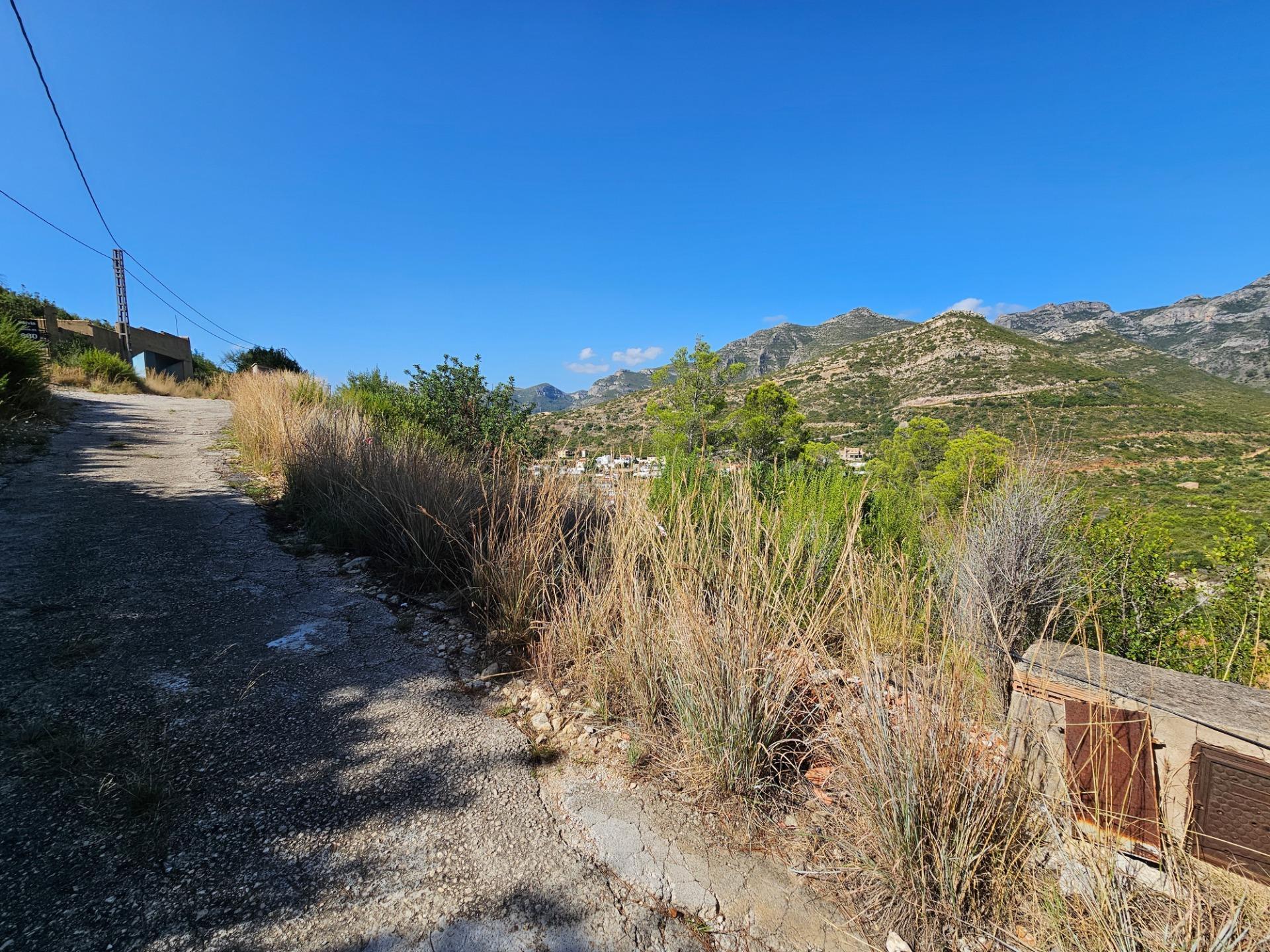 Fincas y solares-Venta-Gandia-1845987-Foto-4