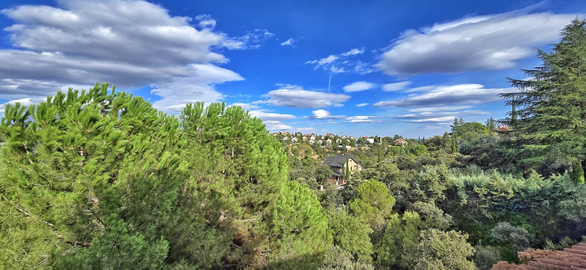 Casas o chalets-Venta-Torrelodones-1968924-Foto-37