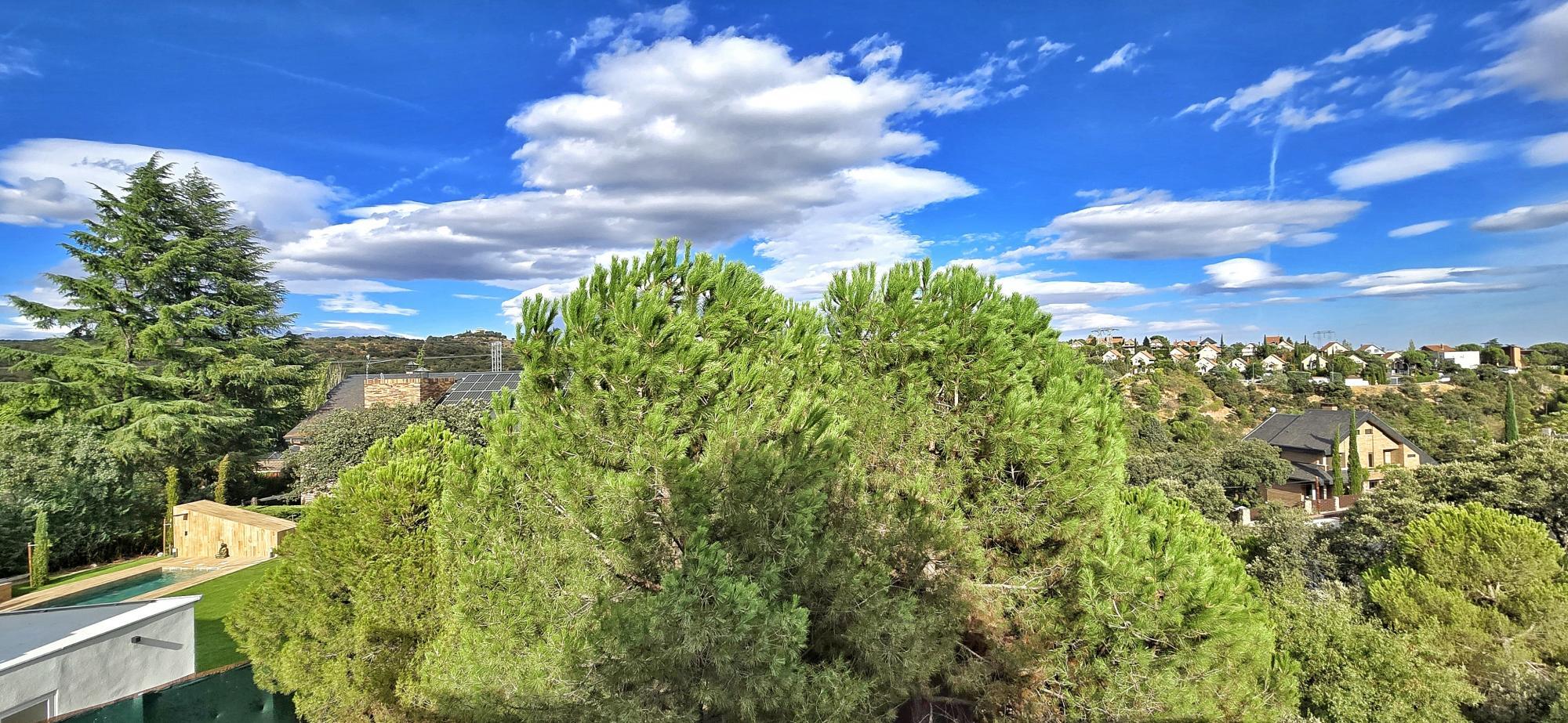 Casas o chalets-Venta-Torrelodones-1968924-Foto-38