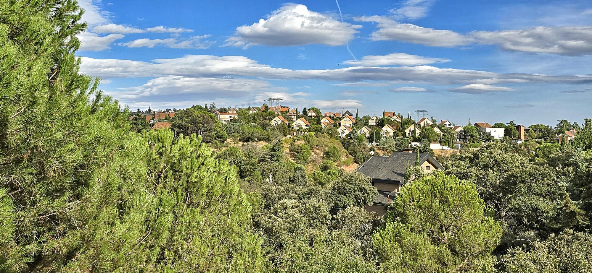 Casas o chalets-Venta-Torrelodones-1968924-Foto-36