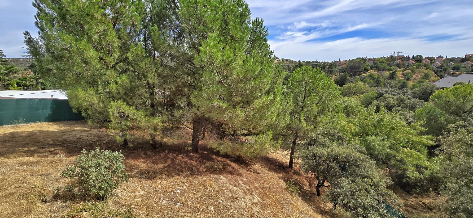 Casas o chalets-Venta-Torrelodones-1968924-Foto-67