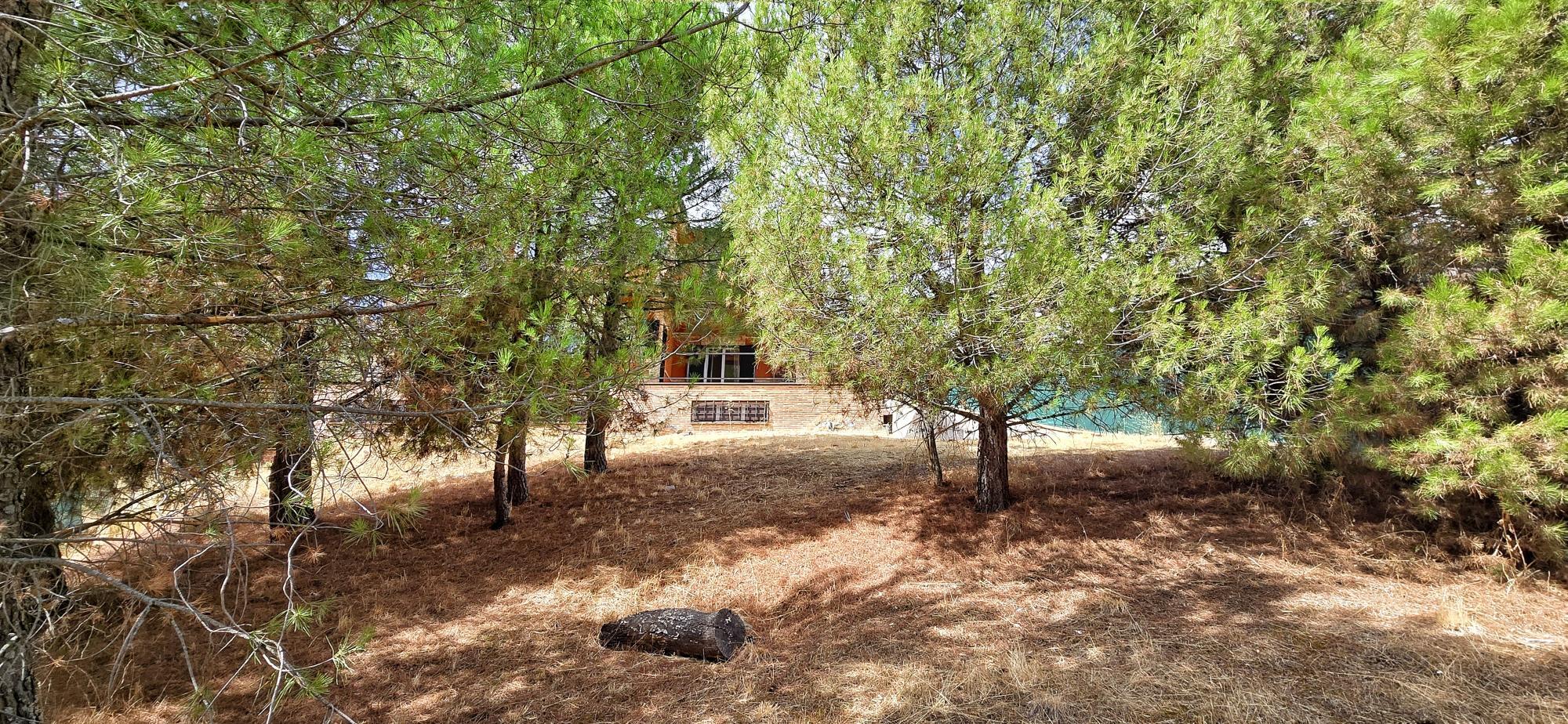 Casas o chalets-Venta-Torrelodones-1968924-Foto-70