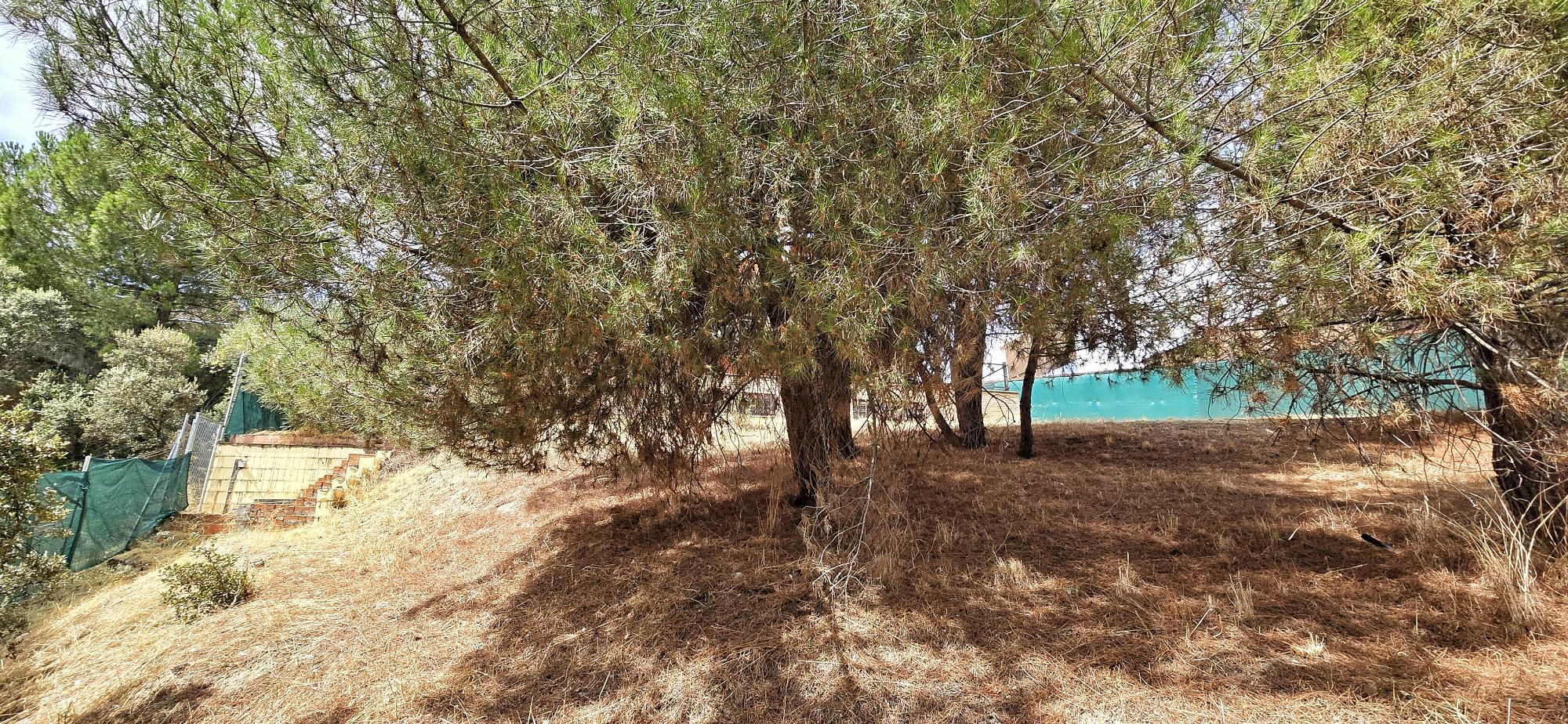 Casas o chalets-Venta-Torrelodones-1968924-Foto-71