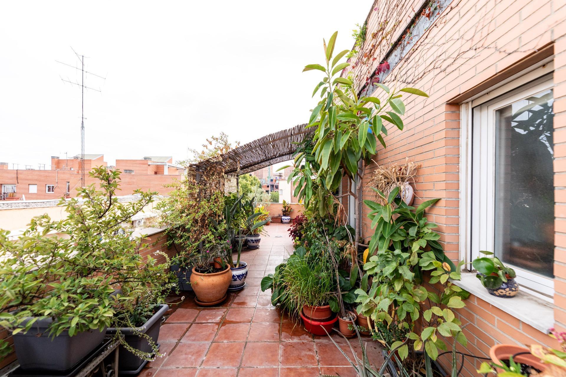 Pisos-Venta-Madrid-1941899-Foto-7