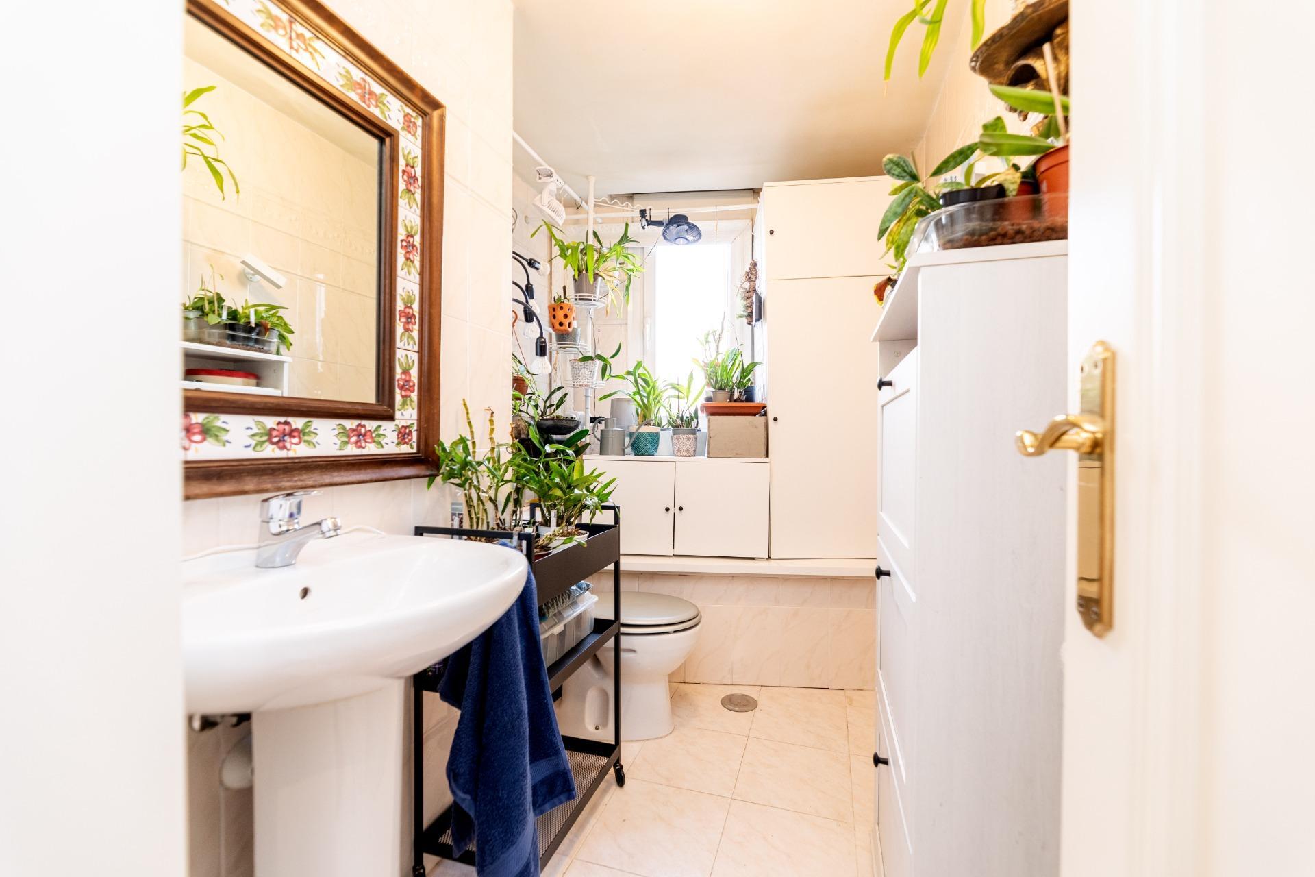 Pisos-Venta-Madrid-1941899-Foto-22