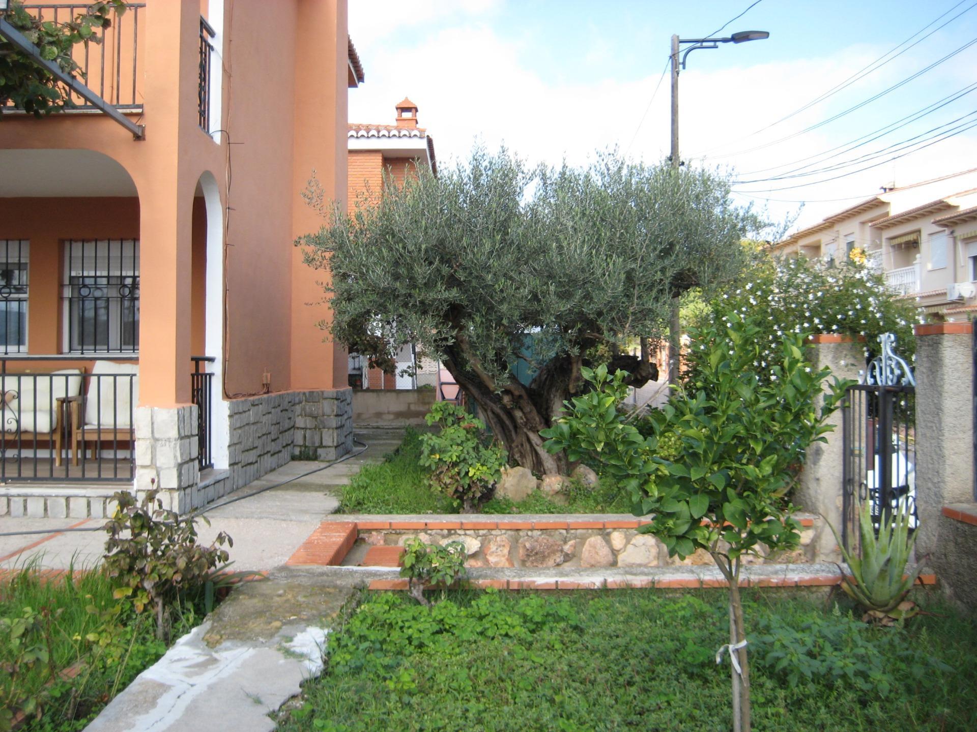 Casas o chalets-Venta-Viver-1968936-Foto-3