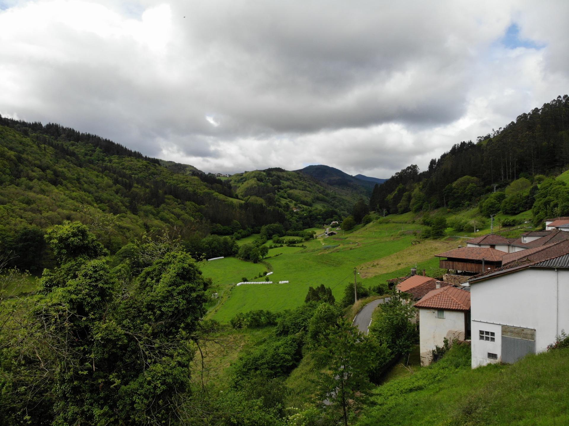 Casas o chalets-Venta-Tineo-1101887-Foto-50