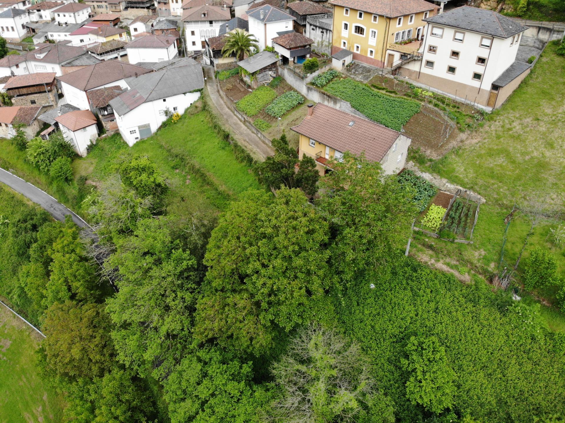 Casas o chalets-Venta-Tineo-1101887-Foto-54