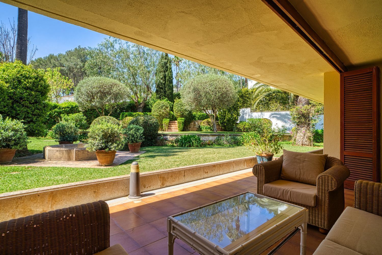 Terraza
