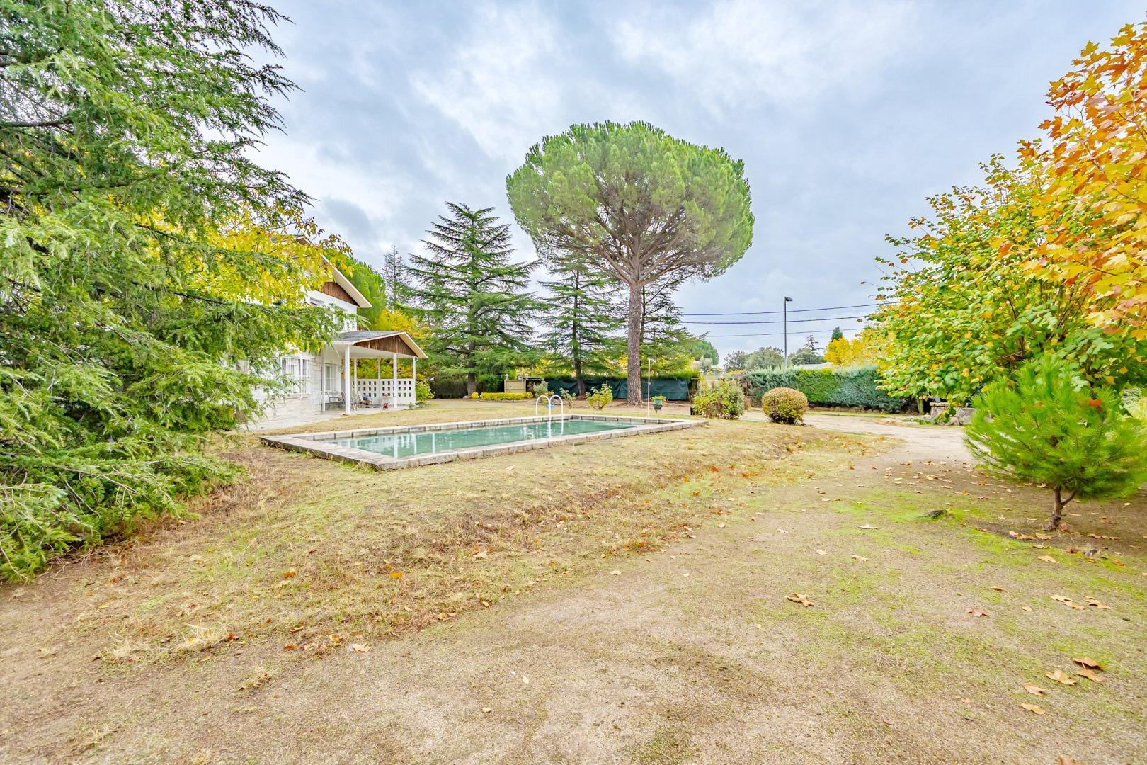 Casas o chalets-Venta-Alpedrete-1968966-Foto-5