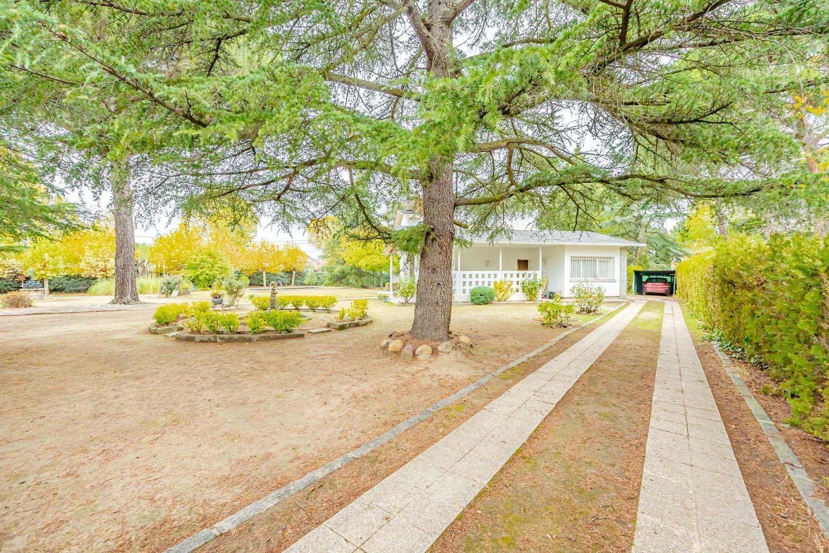 Casas o chalets-Venta-Alpedrete-1968966-Foto-10