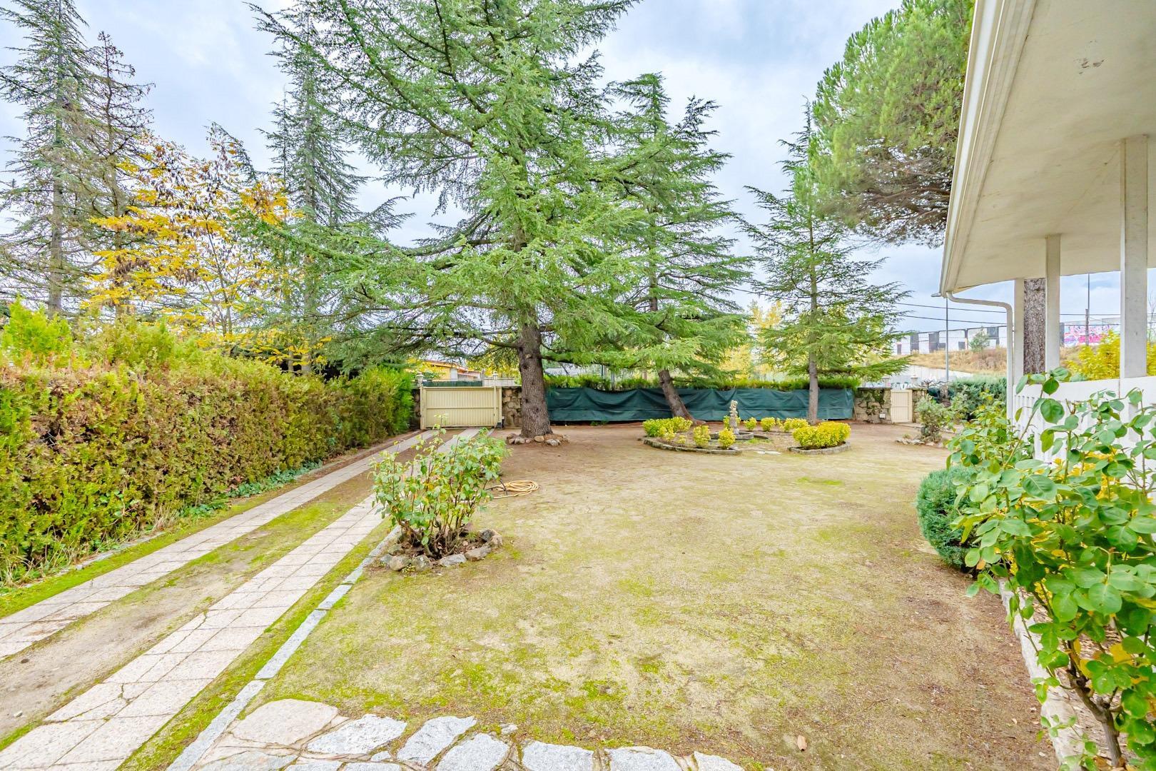 Casas o chalets-Venta-Alpedrete-1968966-Foto-12