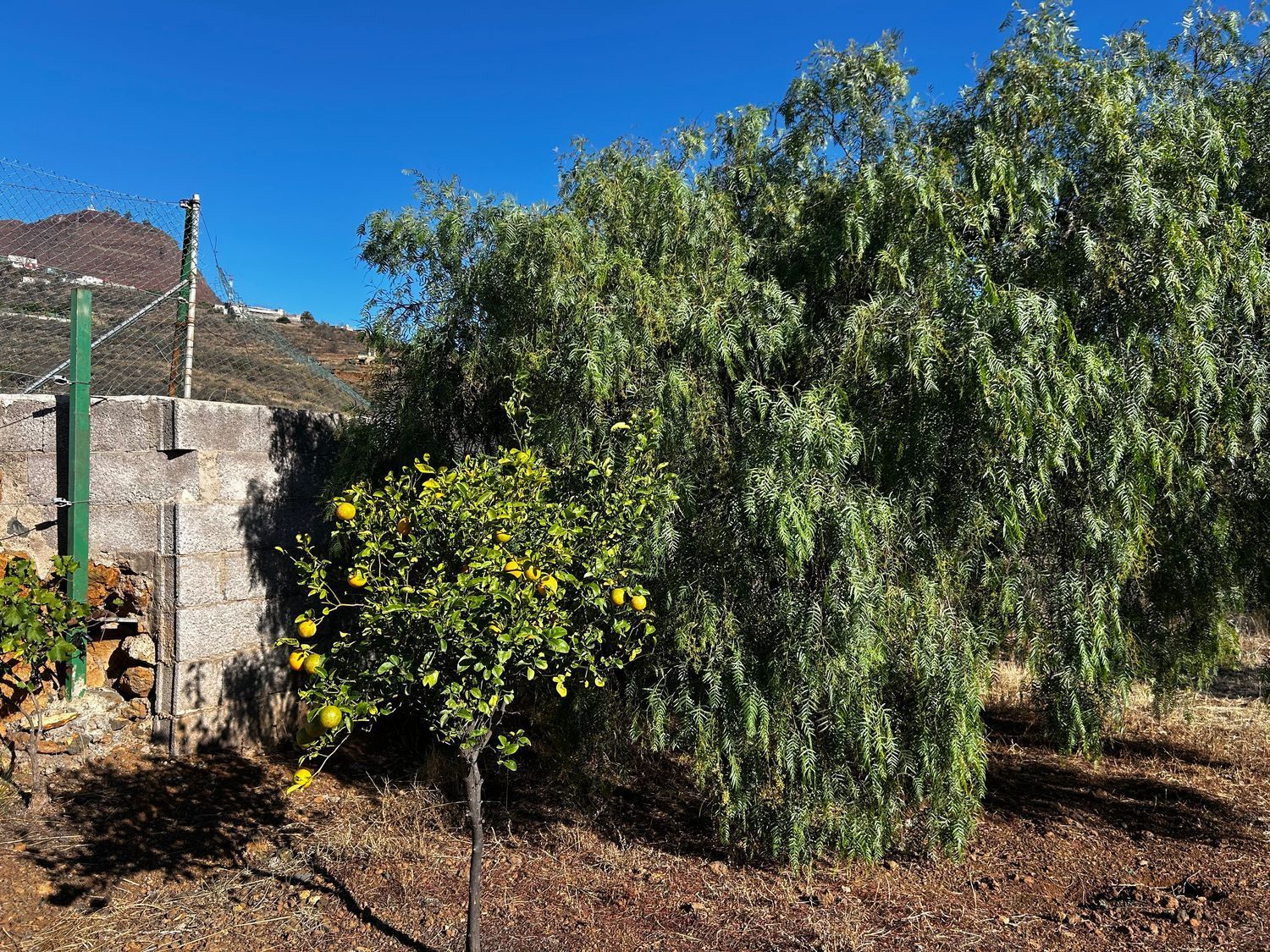 Casas o chalets-Venta-El Rosario-1969095-Foto-18