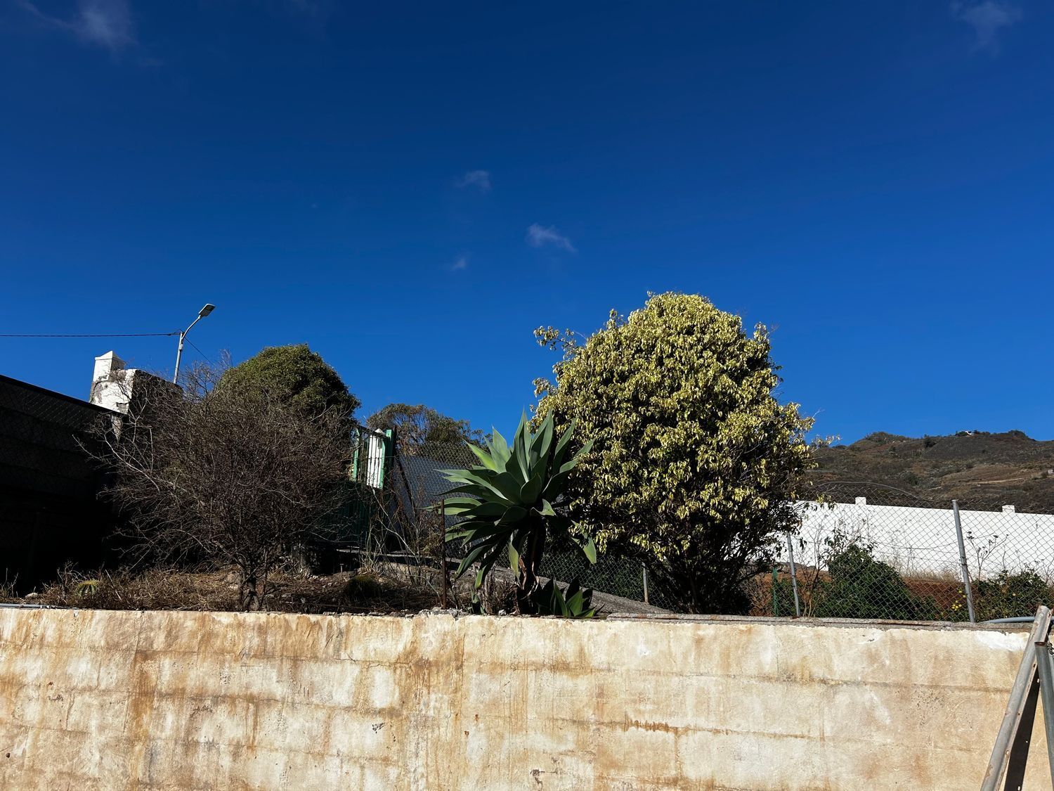 Casas o chalets-Venta-El Rosario-1969095-Foto-26