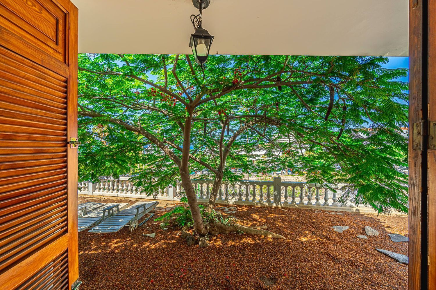 Casas o chalets-Venta-Adeje-1969098-Foto-32