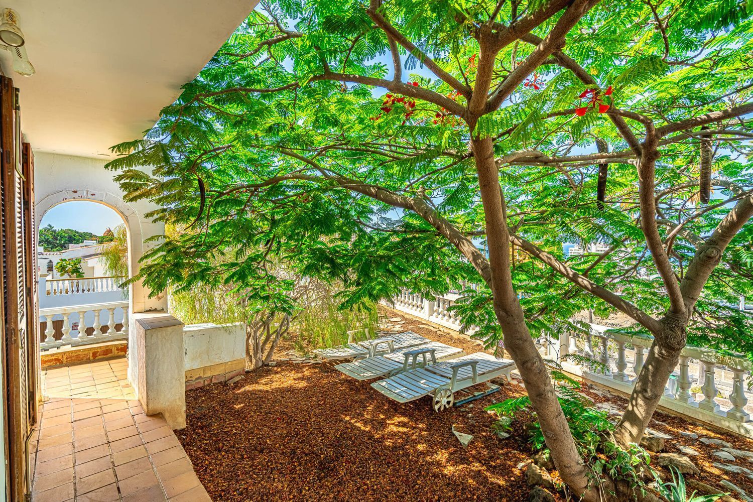 Casas o chalets-Venta-Adeje-1969098-Foto-33