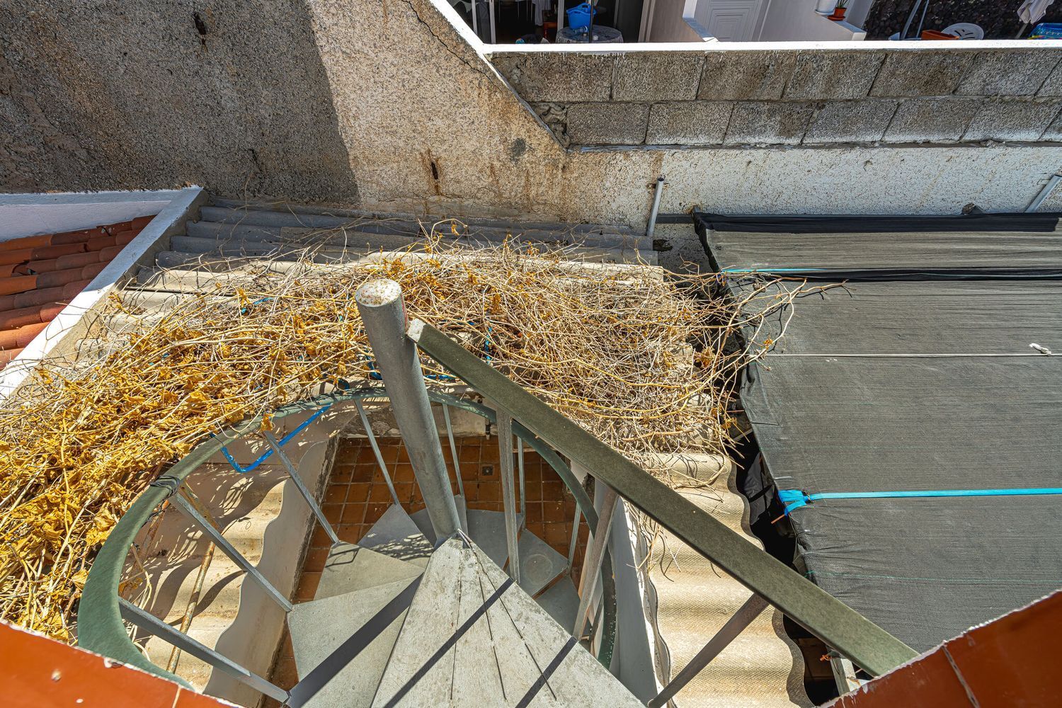 Casas o chalets-Venta-Adeje-1969098-Foto-50