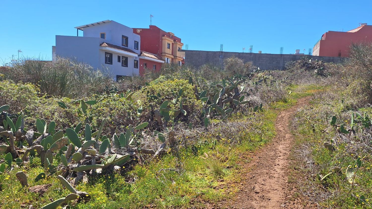 Fincas y solares-Venta-San CristÃ³bal de La Laguna-1969101-Foto-3