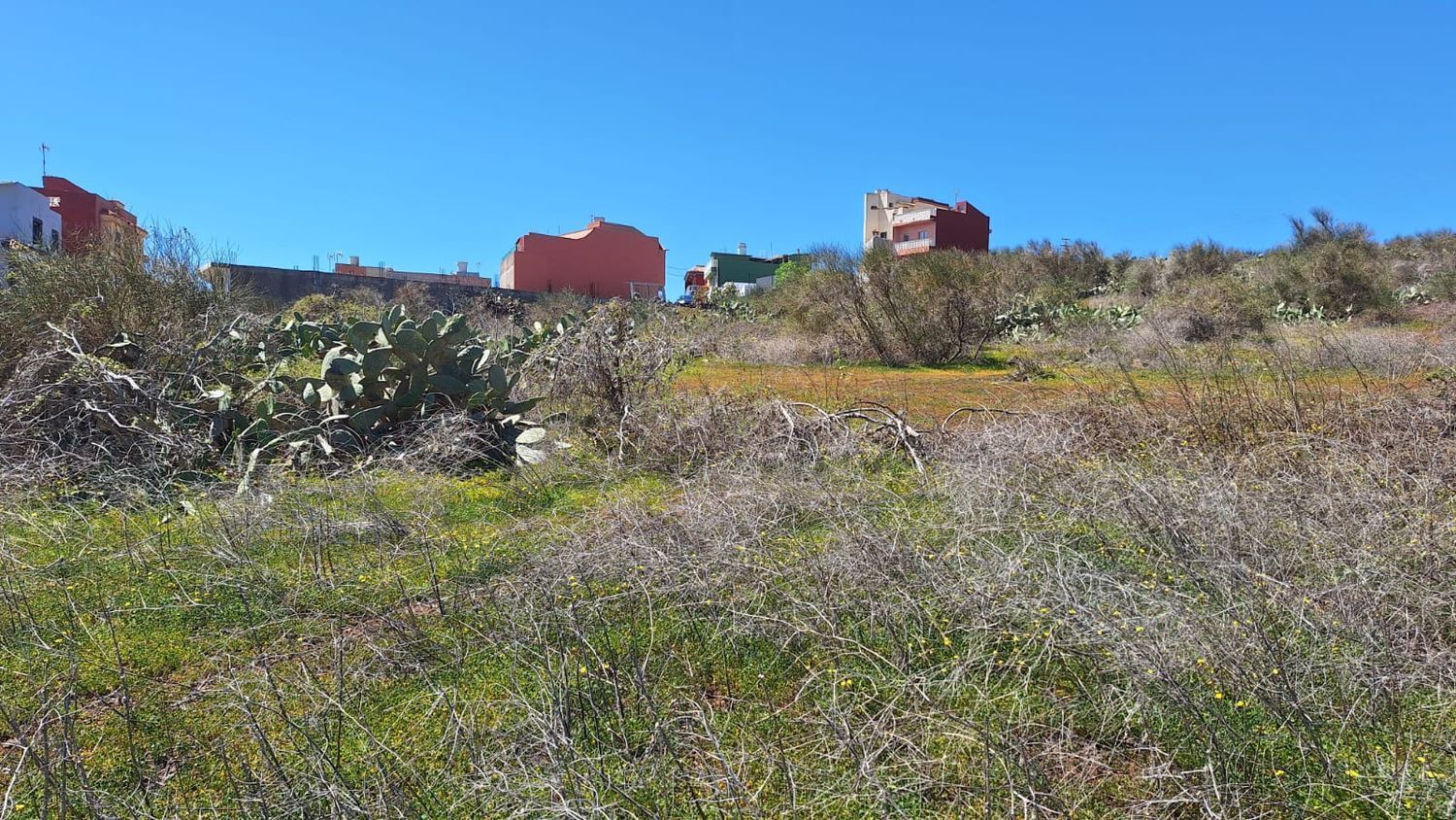 Fincas y solares-Venta-San CristÃ³bal de La Laguna-1969101-Foto-9