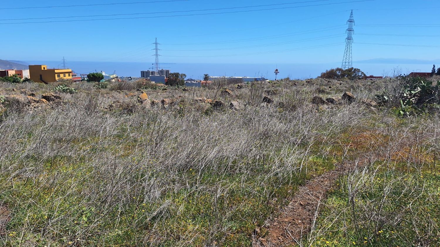 Fincas y solares-Venta-San CristÃ³bal de La Laguna-1969101-Foto-11