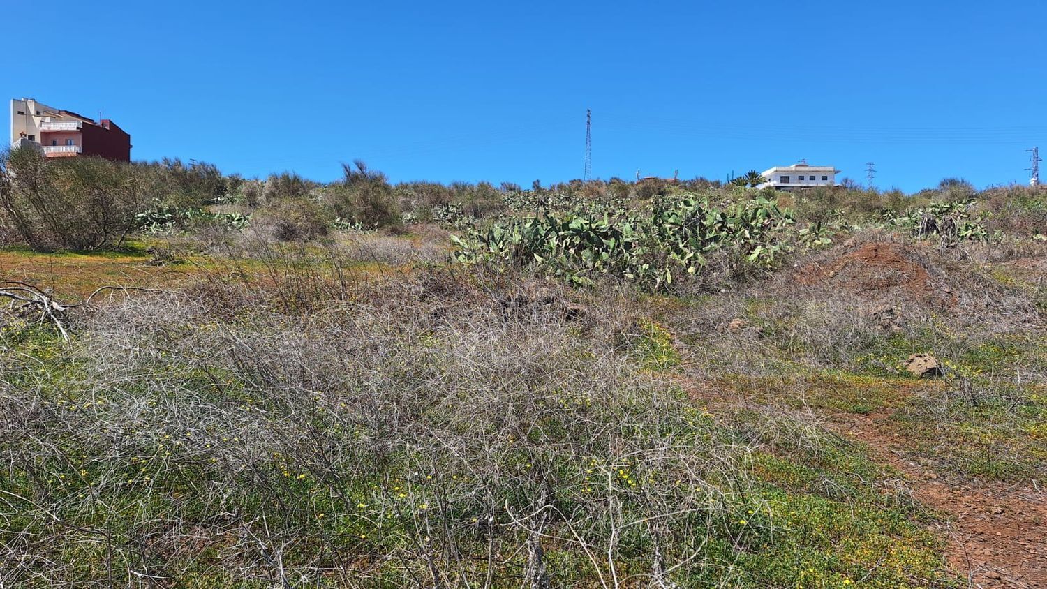 Fincas y solares-Venta-San CristÃ³bal de La Laguna-1969101-Foto-8