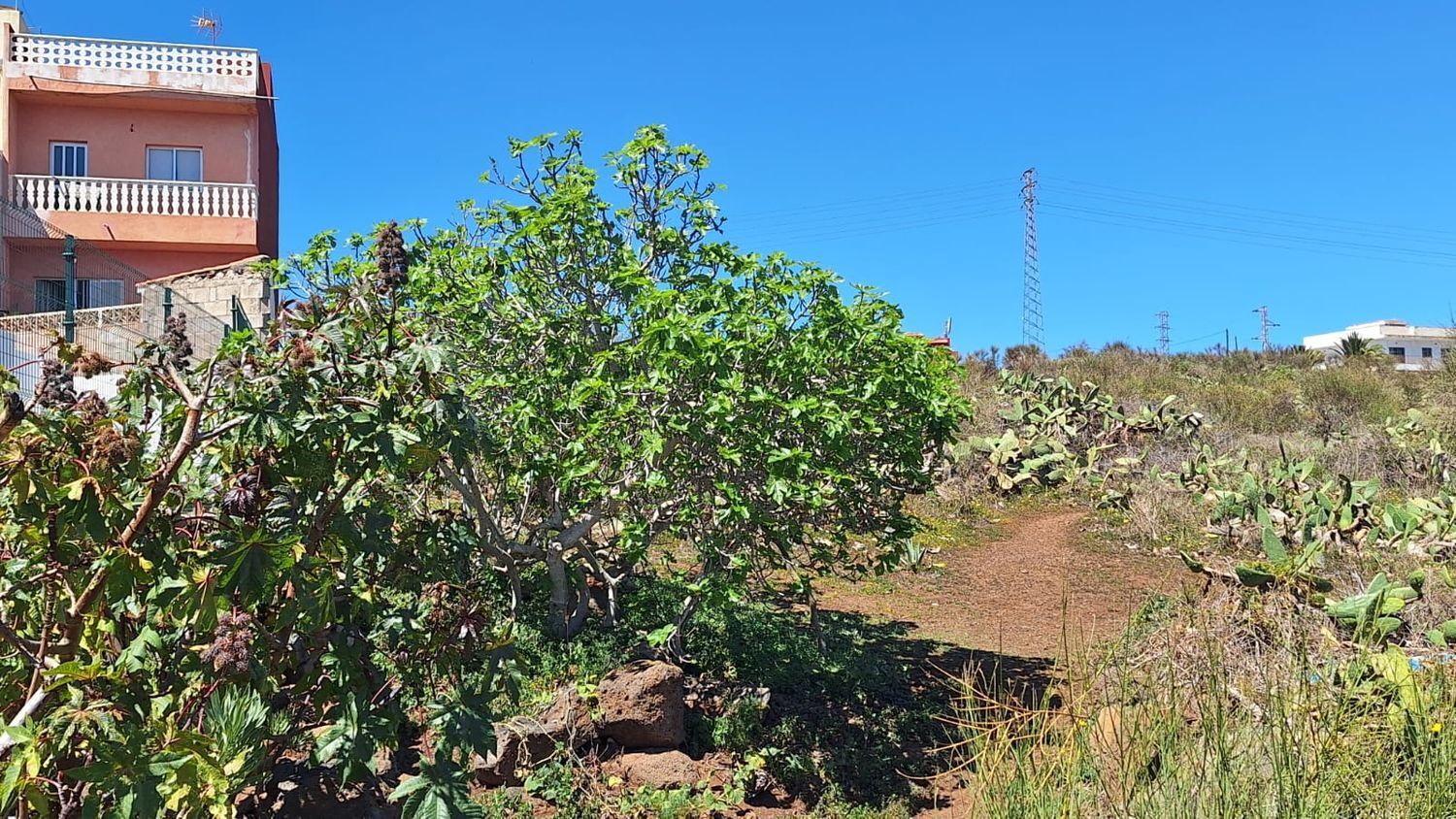 Fincas y solares-Venta-San CristÃ³bal de La Laguna-1969101-Foto-15