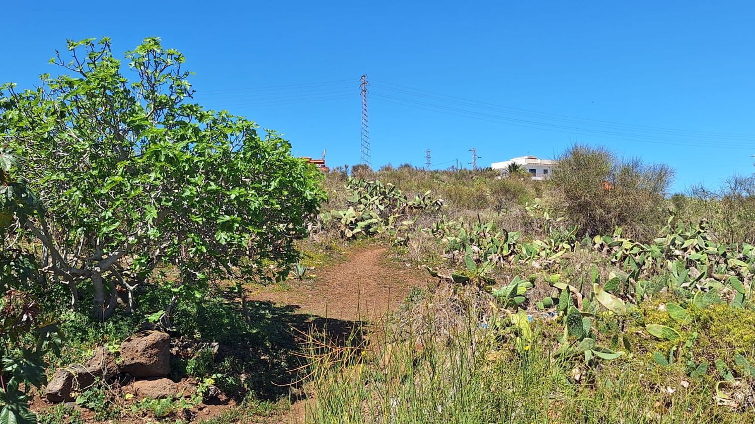 Fincas y solares-Venta-San CristÃ³bal de La Laguna-1969101-Foto-17