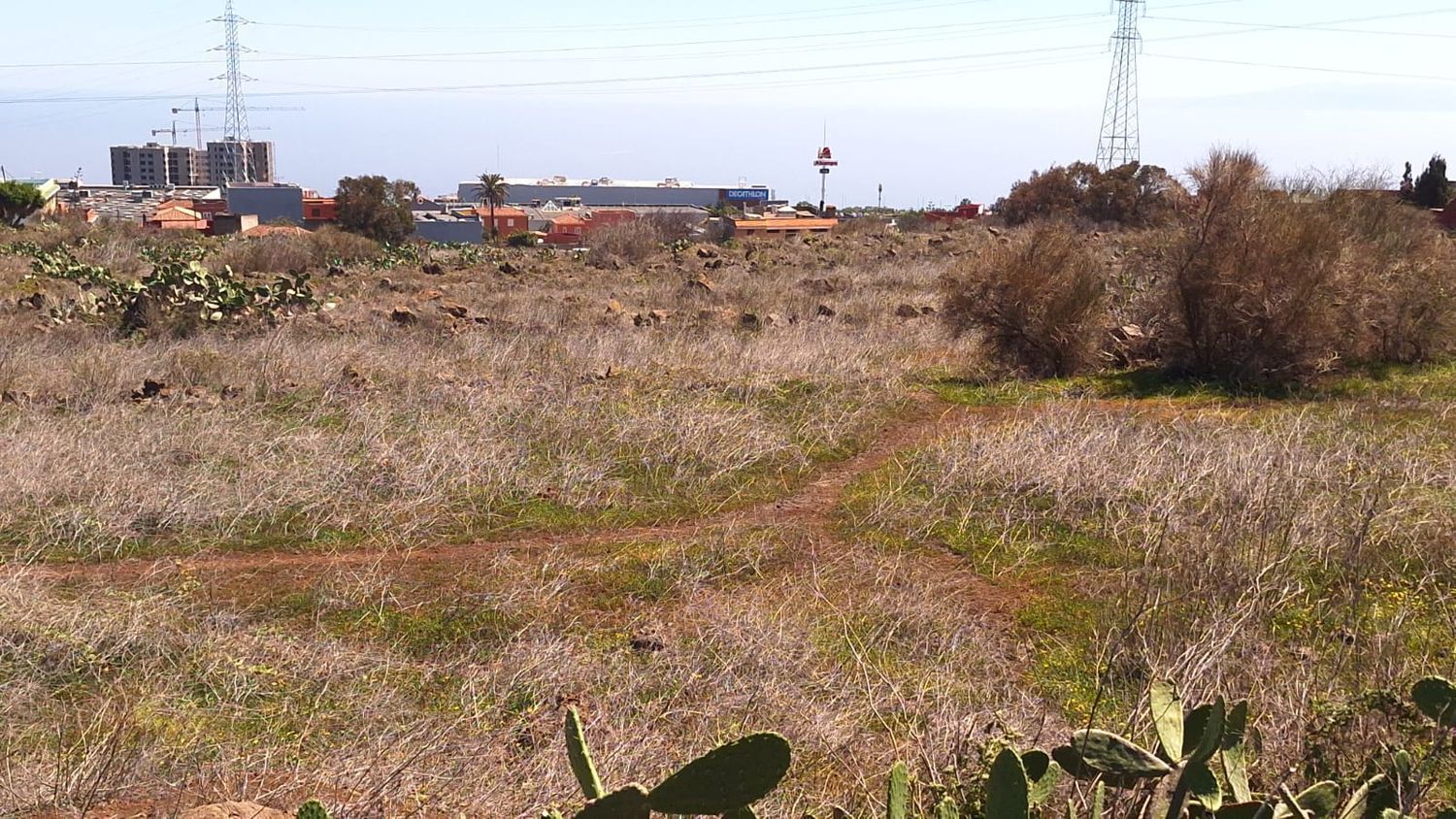 Fincas y solares-Venta-San CristÃ³bal de La Laguna-1969101-Foto-13