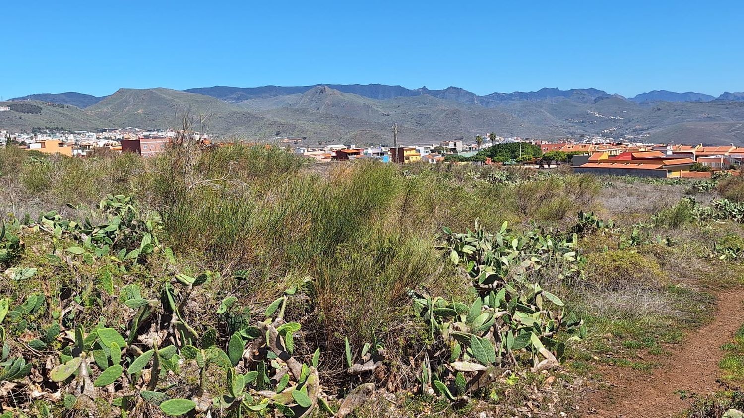 Fincas y solares-Venta-San CristÃ³bal de La Laguna-1969101-Foto-19