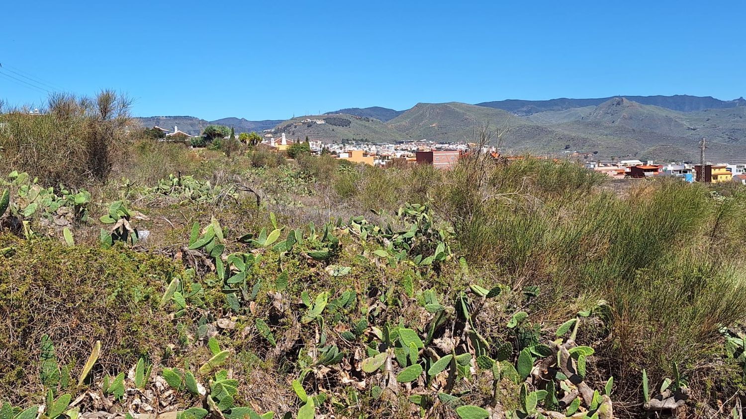 Fincas y solares-Venta-San CristÃ³bal de La Laguna-1969101-Foto-21