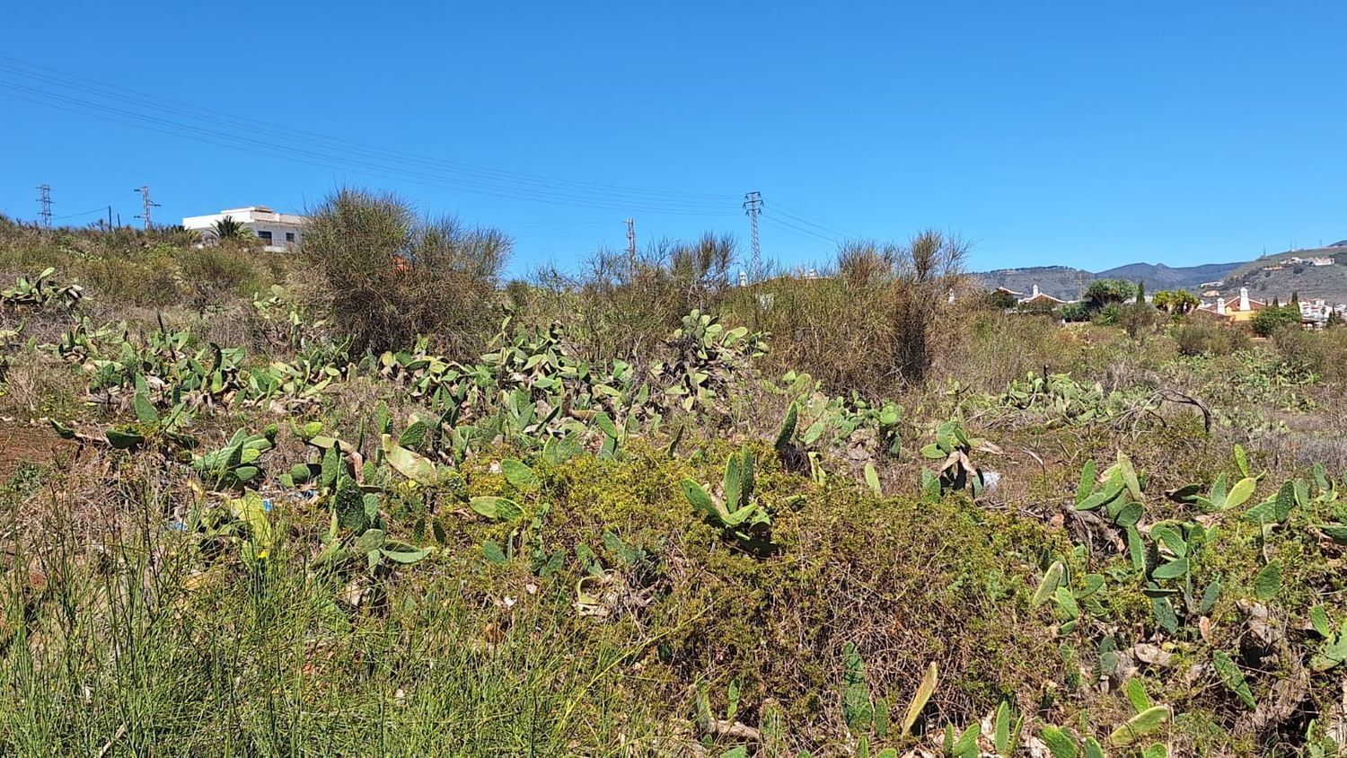 Fincas y solares-Venta-San CristÃ³bal de La Laguna-1969101-Foto-18