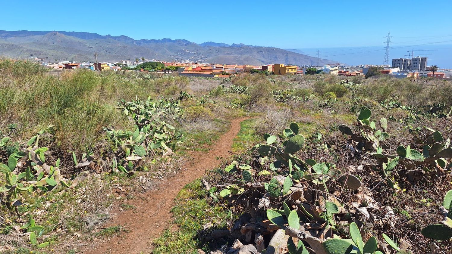 Fincas y solares-Venta-San CristÃ³bal de La Laguna-1969101-Foto-20