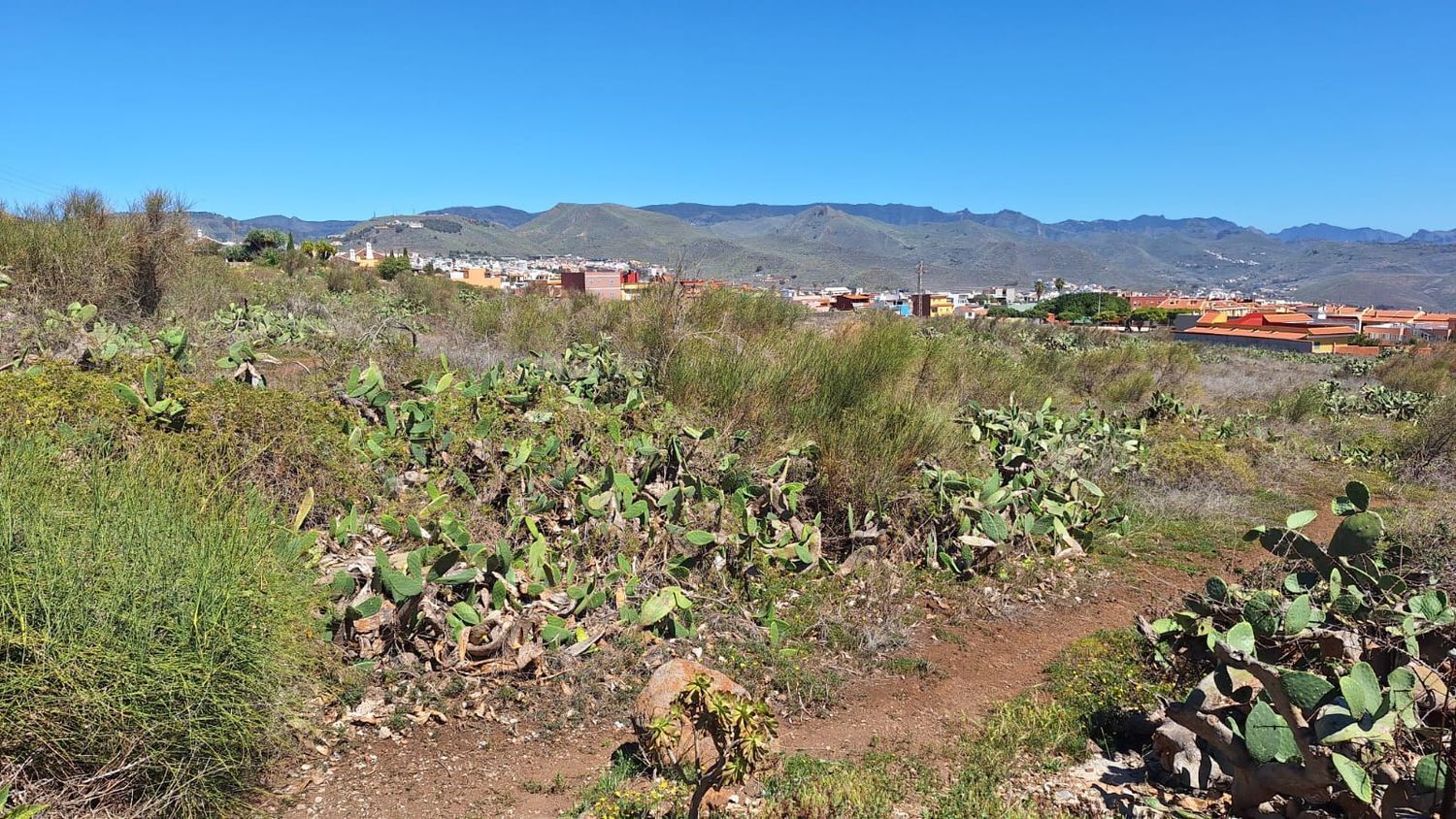 Fincas y solares-Venta-San CristÃ³bal de La Laguna-1969101-Foto-22