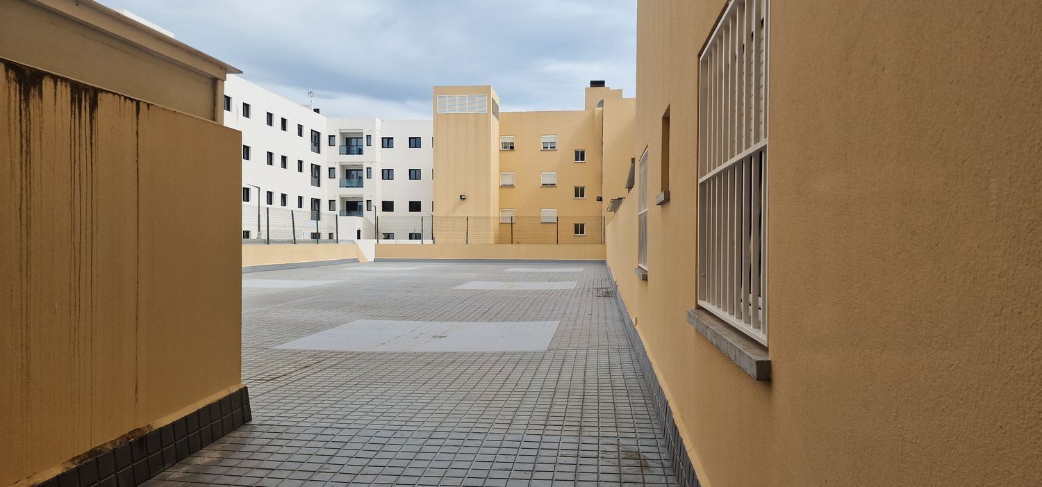 Pisos-Venta-Las Palmas de Gran Canaria-1969125-Foto-19