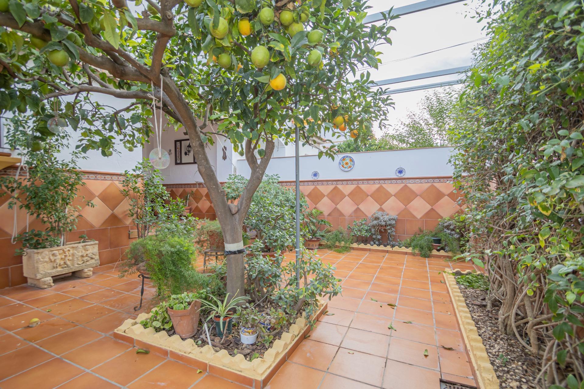 Casas o chalets-Venta-Montequinto-1969801-Foto-11