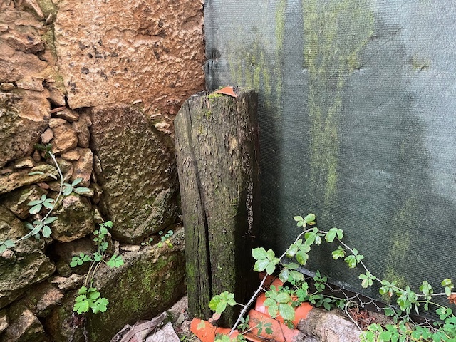 Pisos-Venta-Salamanca-1969425-Foto-16