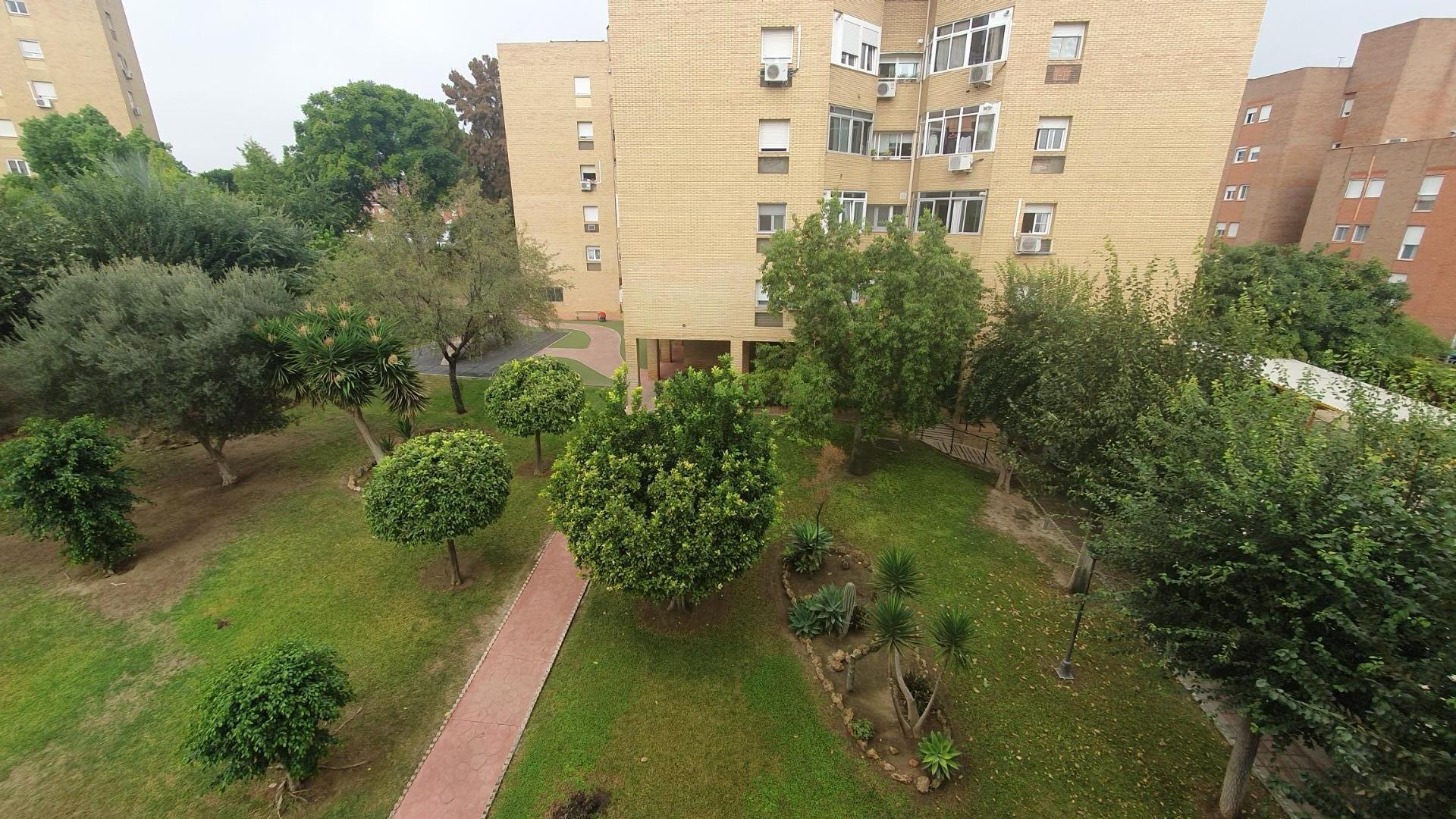 Pisos-Alquiler-Tomares-1900526-Foto-40