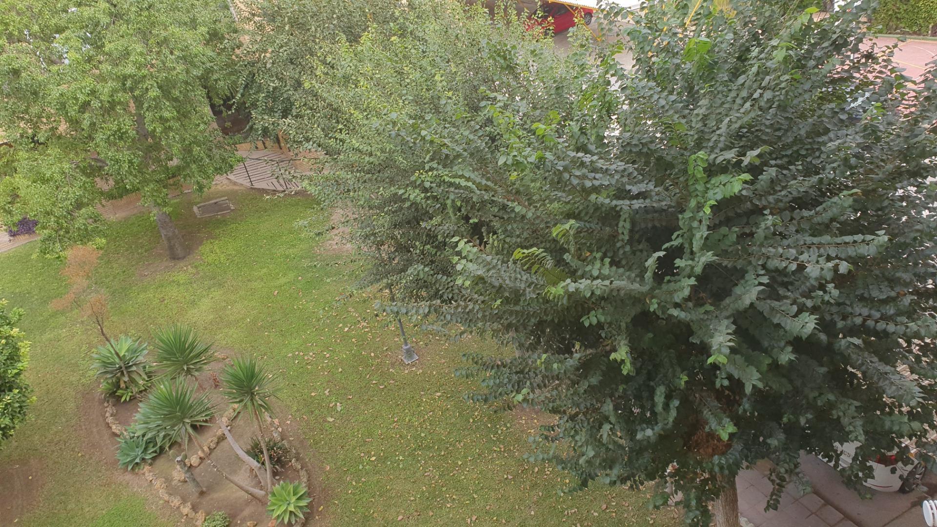 Pisos-Alquiler-Tomares-1900526-Foto-44