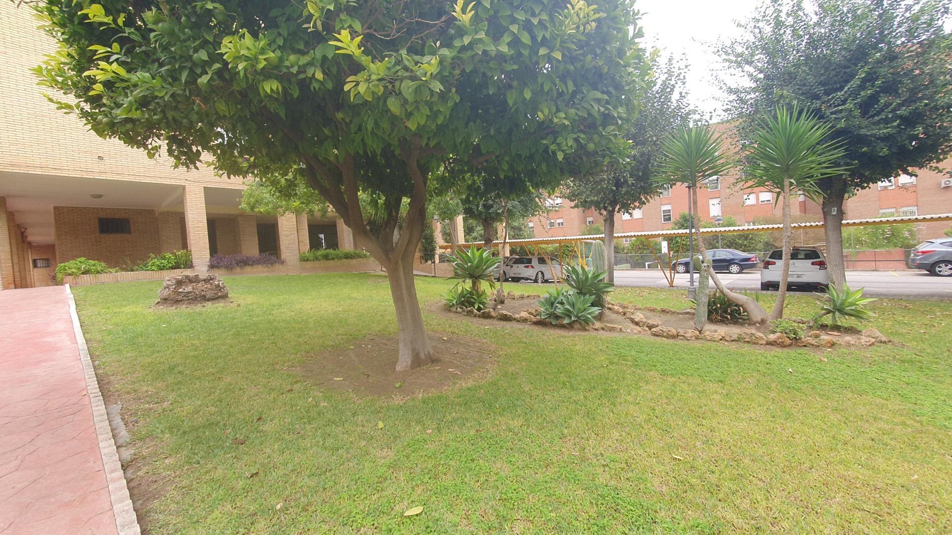 Pisos-Alquiler-Tomares-1900526-Foto-52