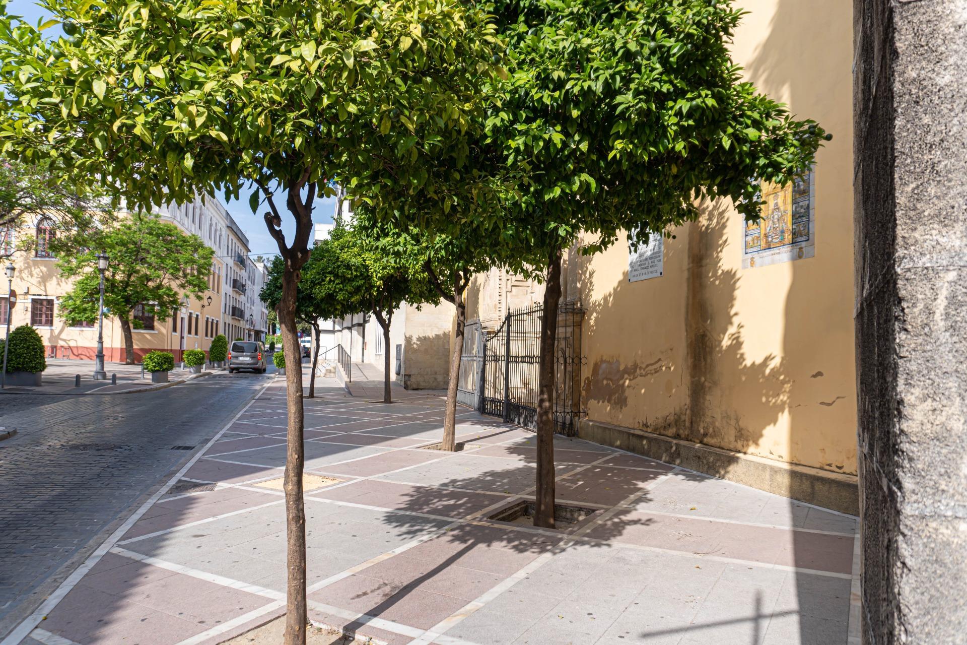 Pisos-Venta-Jerez de la Frontera-1765221-Foto-52