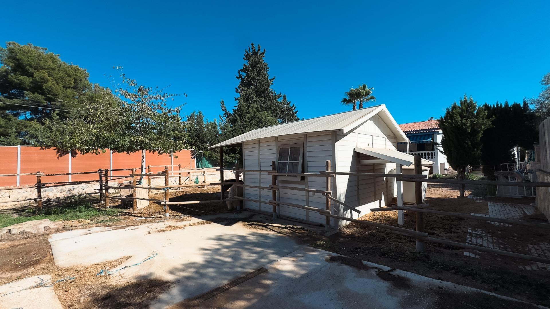 Casas o chalets-Venta-San Vicente del Raspeig-1968519-Foto-22