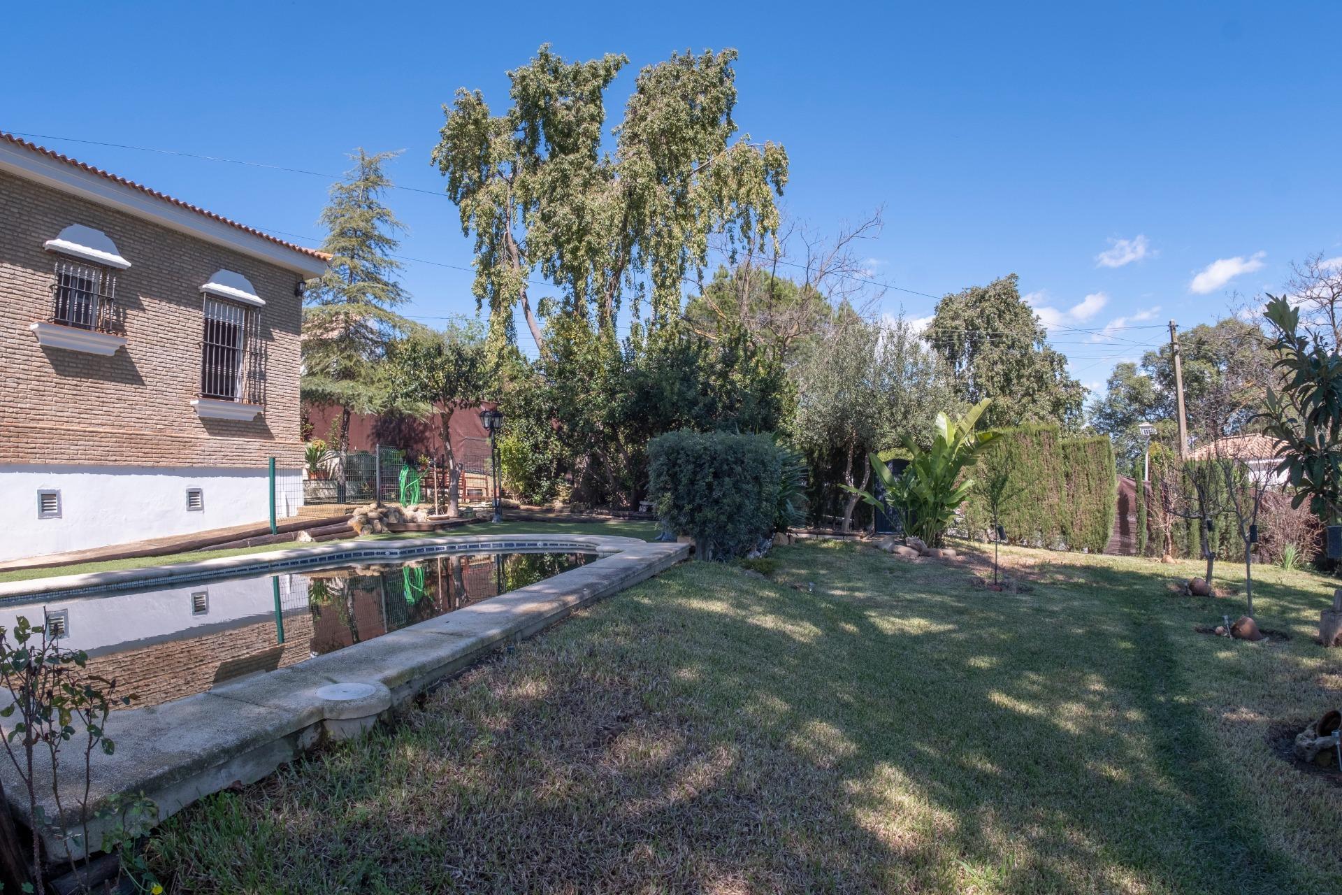 Casas o chalets-Venta-Salteras-1678708-Foto-58