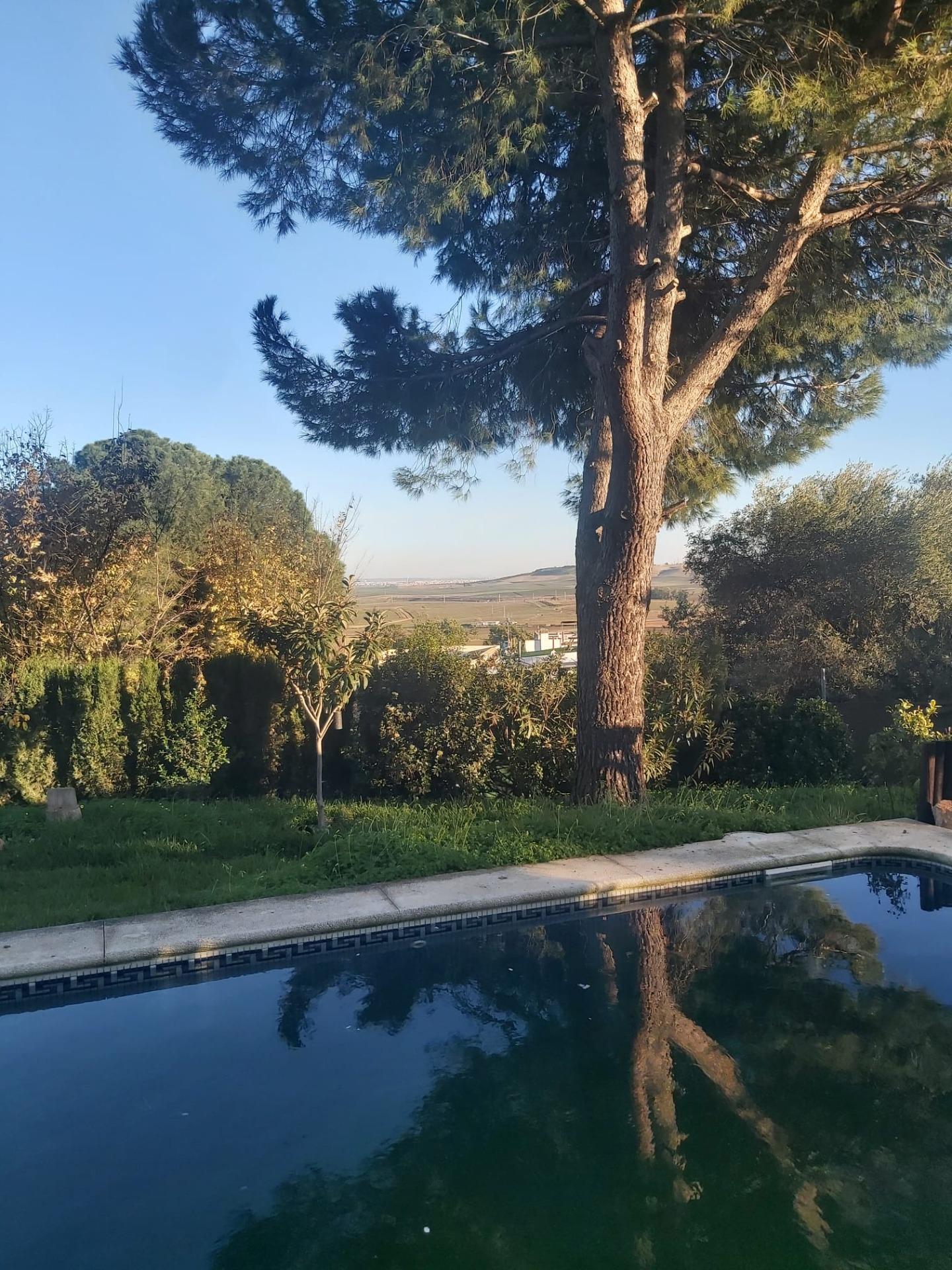 Casas o chalets-Venta-Salteras-1678708-Foto-63