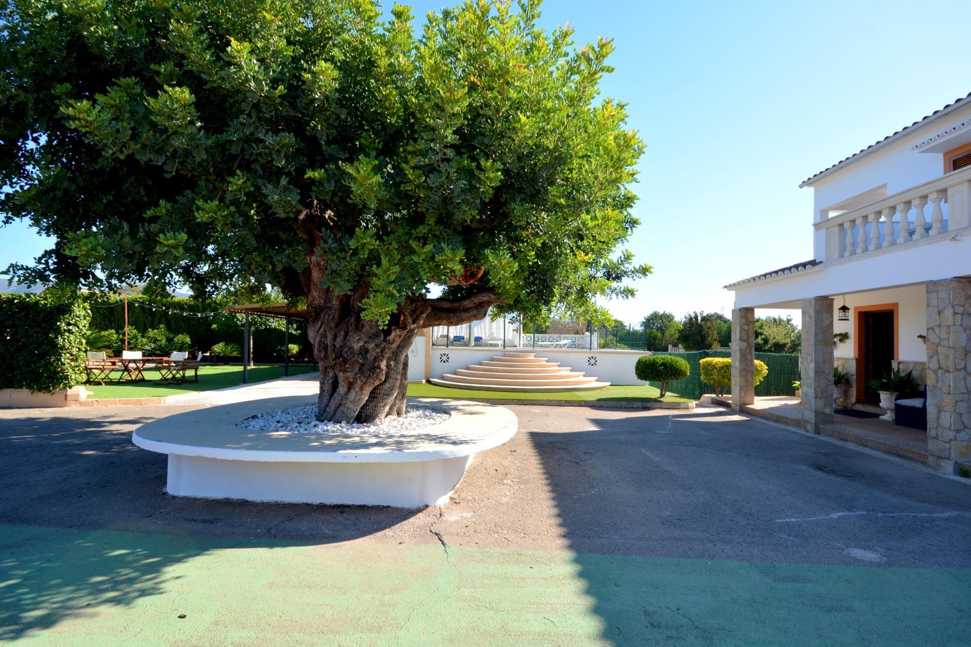 Casas o chalets-Venta-MarratxÃ­-1866080-Foto-60