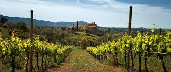 Casas o chalets-Venta-VilajuÃ¯ga-1893796-Foto-35