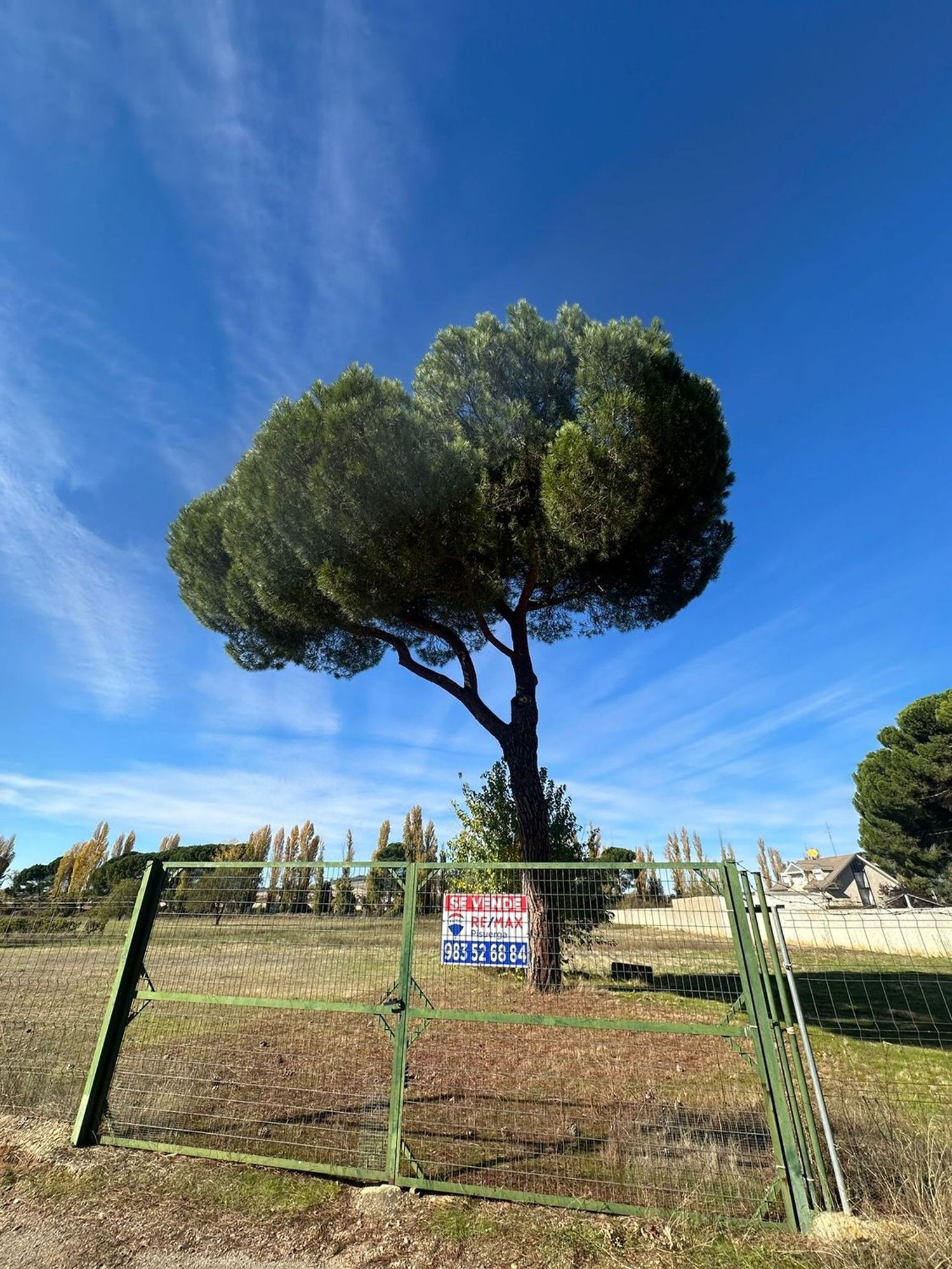 Fincas y solares-Venta-Simancas-1969714-Foto-16