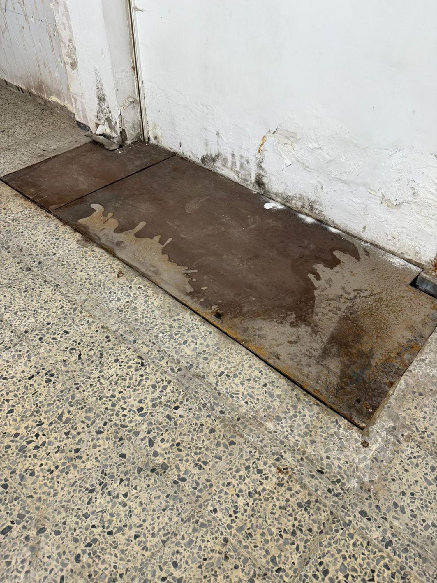 Locales-Venta-GÃ¼Ã­mar-1969717-Foto-29