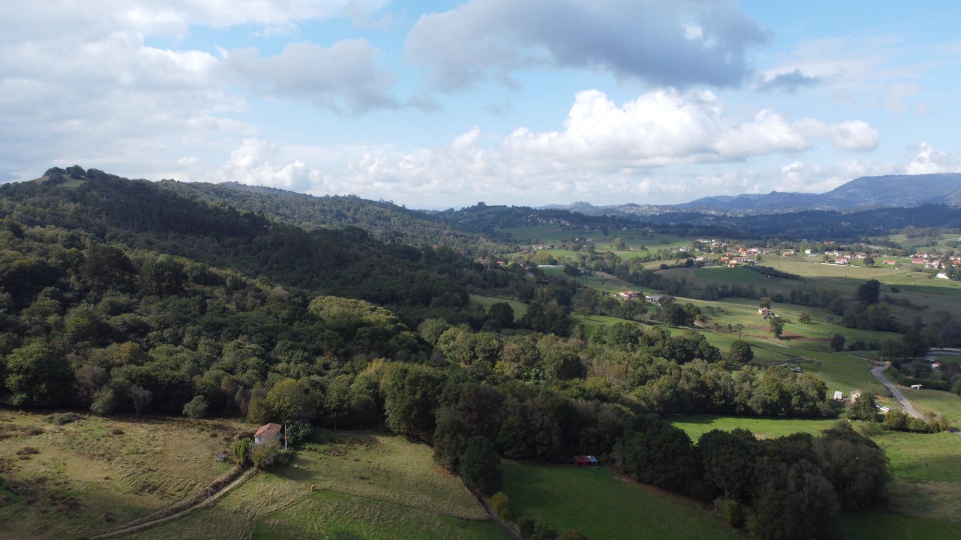 Casas o chalets-Venta-Las Navas del MarquÃ©s-1886855-Foto-38