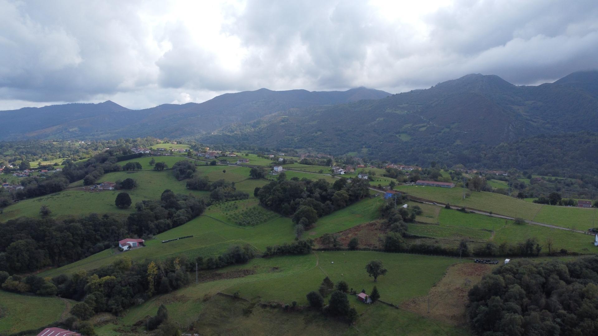 Casas o chalets-Venta-Las Navas del MarquÃ©s-1886855-Foto-40