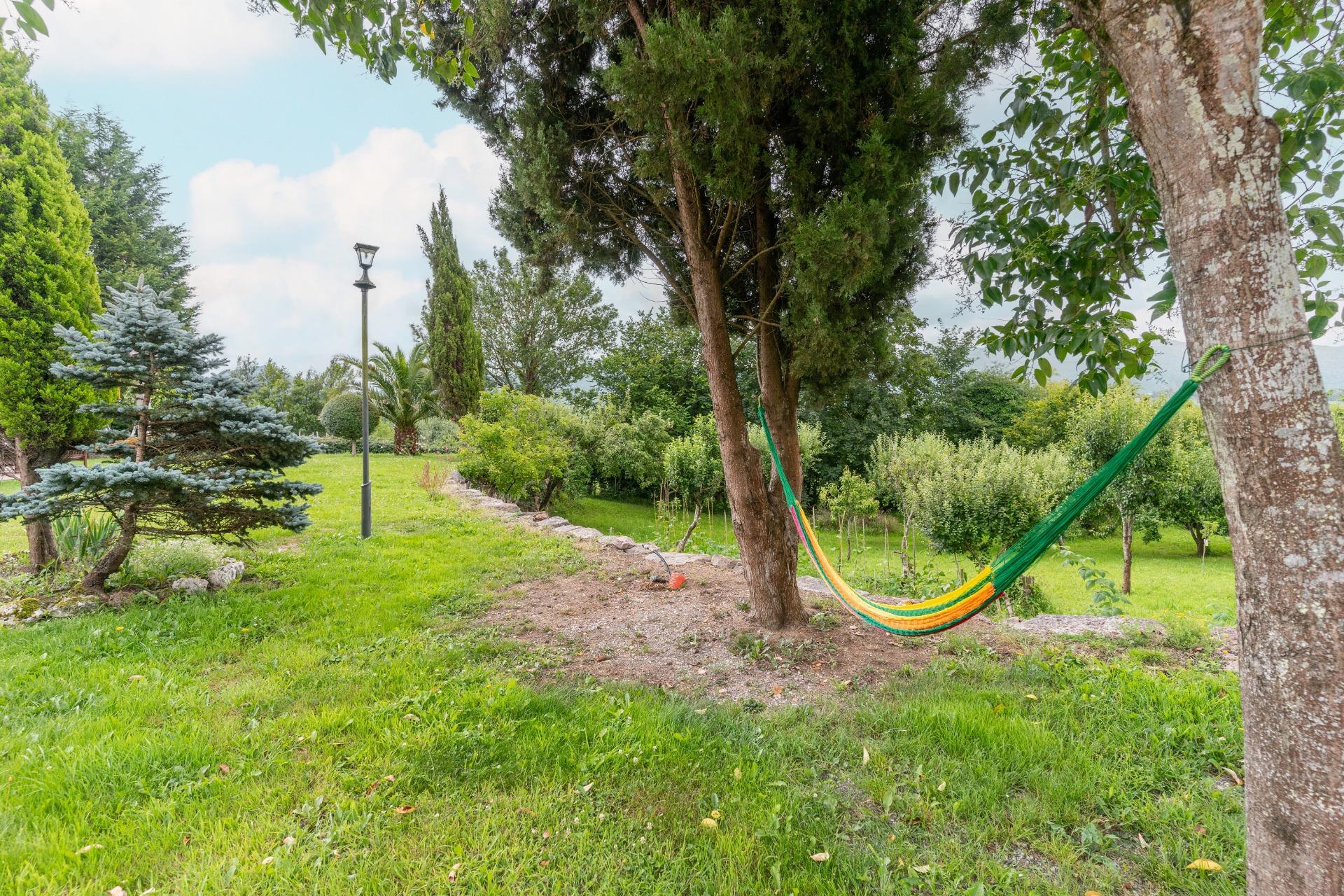 Casas o chalets-Venta-Las Navas del MarquÃ©s-910507-Foto-76